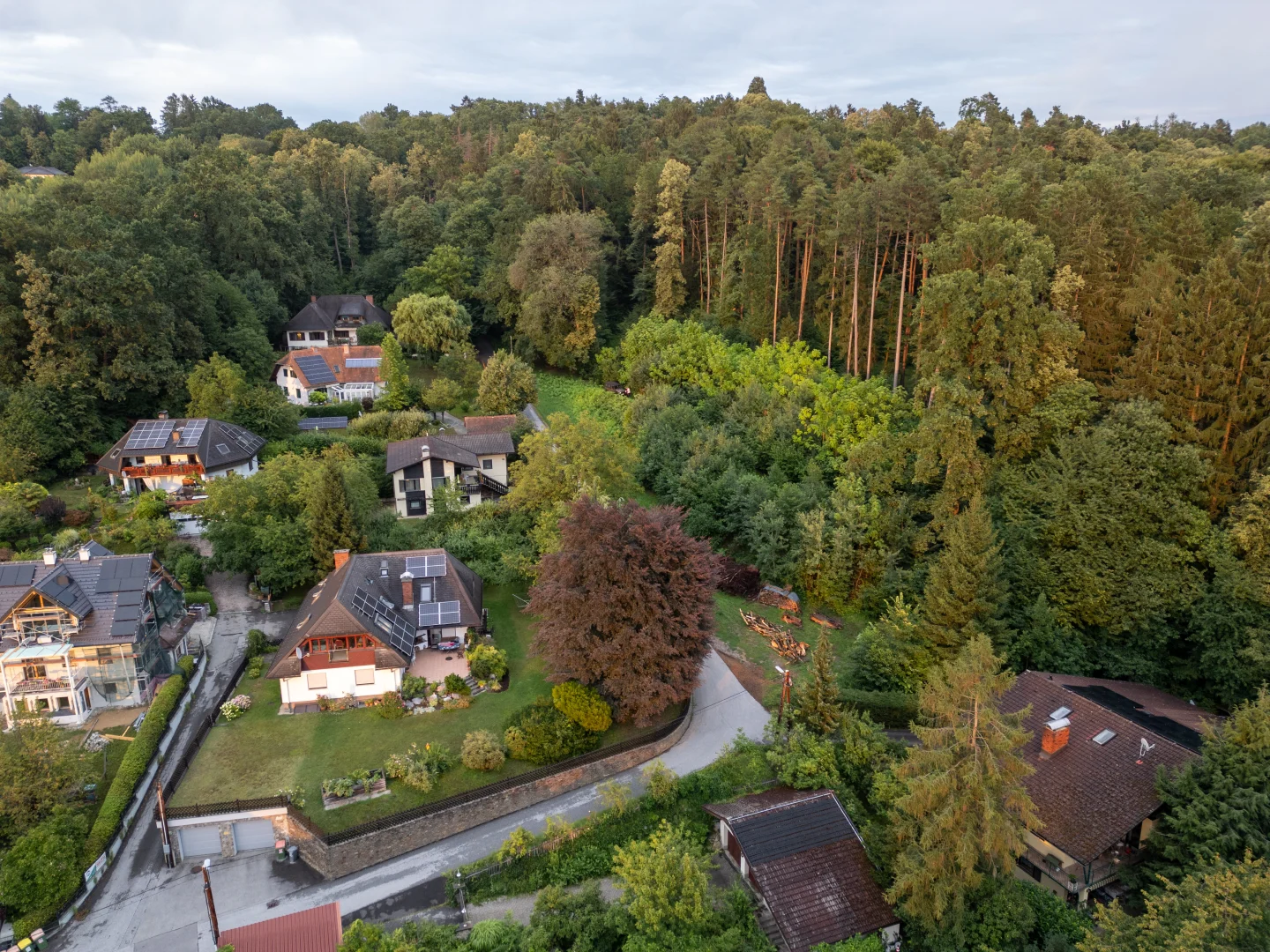Gegenblick zur Waldkante und zur gewachsenen Nachbarschaft