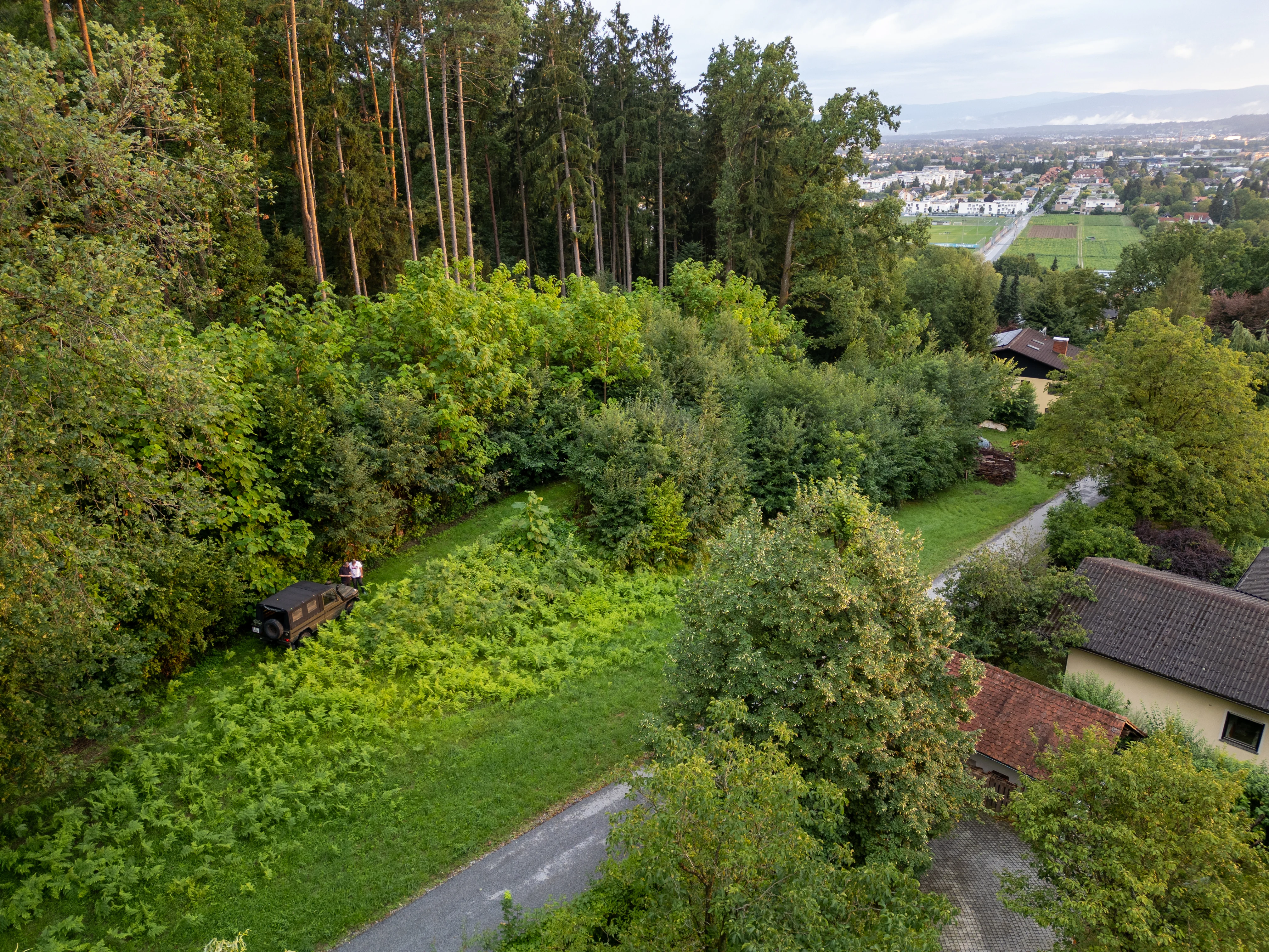 Luftaufnahme des Grundstücks an der Waldkante mit Blick über Graz
