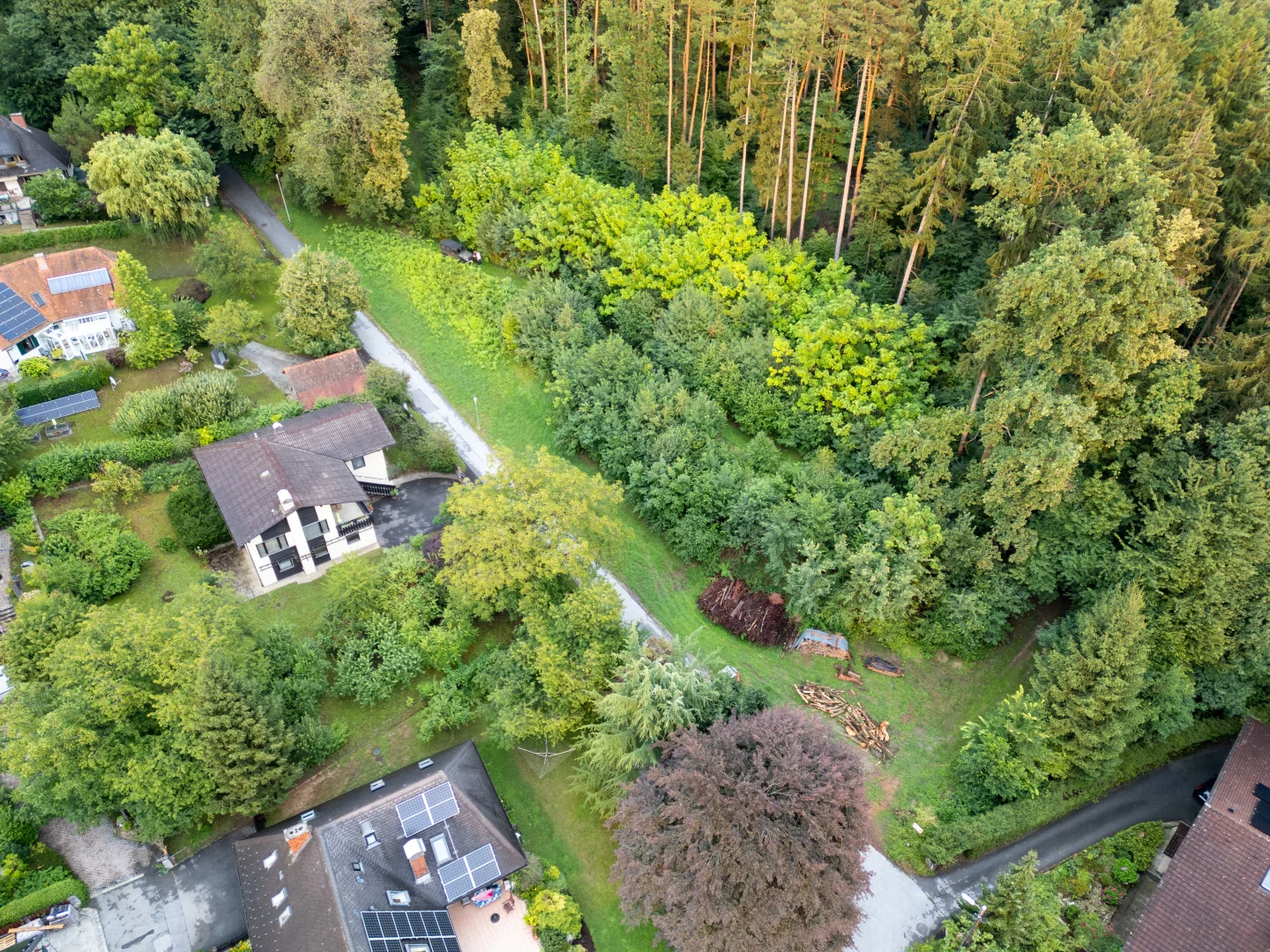 Luftaufnahme der Grundstückslinie bis zur Waldkante